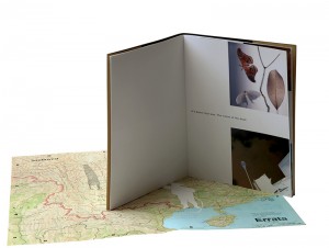 Artists-Book_Charles-Cave_USA_2014